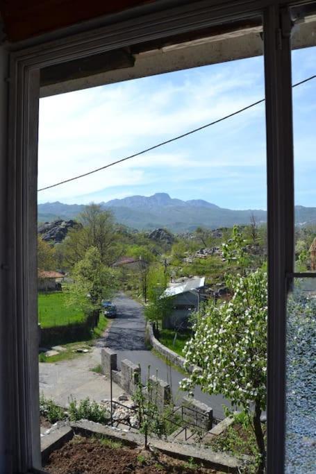 Una Apartment Cetinje Eksteriør billede